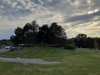 sunset in the park