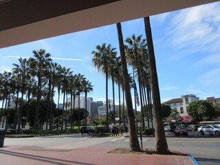 カリフォルニア