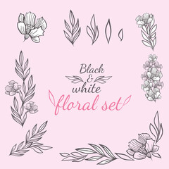 Vector floral set of several elements with leaves, inflorescences and stems on a pink background and with the inscription "black and white floral set"