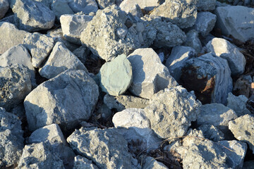 Bundle of Rocks Closeup View