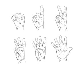 Fototapeta premium Men's hand counting in gesture with fingers one, two, three, four, five, hand drawn with black line in comic cartoon style