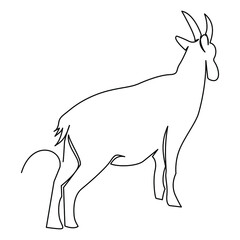 one line continuous drawing deer animal