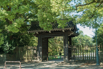 京都御苑の石薬師御門と初夏の緑