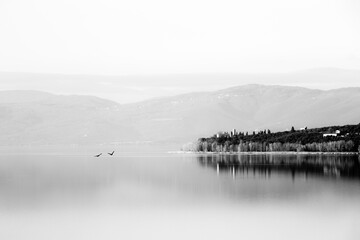 A perfectly symmetric view of a lake, with trees reflections on water