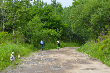 Two caucasian kids with dogs on a bicycle in nature rear view. Active leisure and sportive children lifestyle