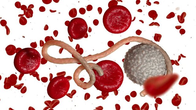 yukuyky 8i 78i yuiuyi uyi