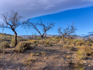 Obraz premium mountainous landscape in southern Spain