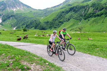 Gemeinsam unterwegs im Gebirge mit dem E-Bike