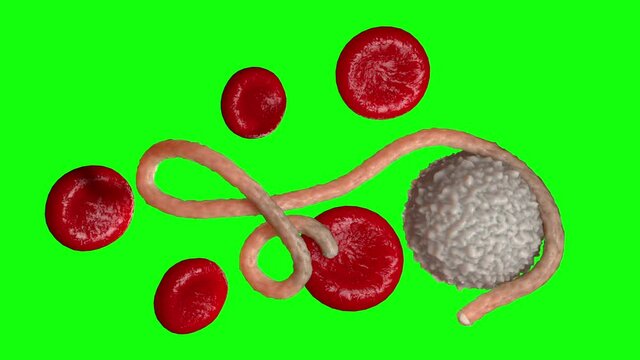 yukuyky 8i 78i yuiuyi uyi