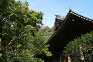 Obraz premium 妙本寺(鎌倉)の境内風景