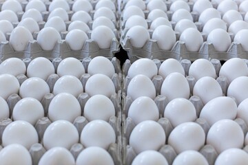 Obraz premium Cartons of chicken eggs at the supermarket.