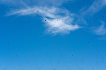 sky and net