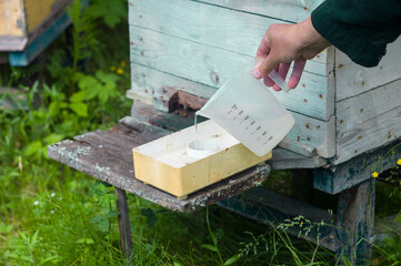 roviding water for honey bees