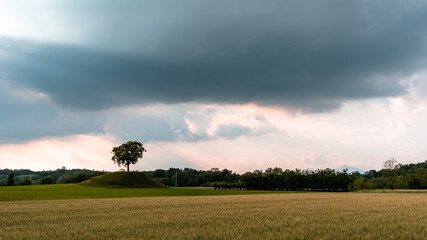 Storm in the fields of Friuli Venezia-Giulia