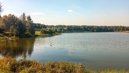 Obraz premium Beautiful pond in the park