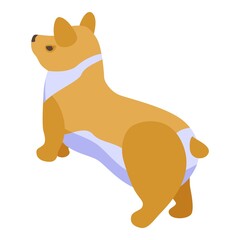 Pet corgi dog icon. Isometric of pet corgi dog vector icon for web design isolated on white background