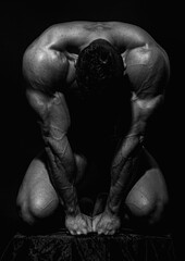 Fitness model