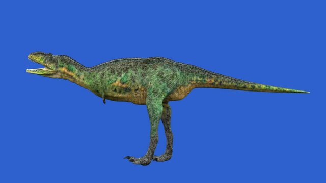 Dinosaur animation on green screen. GI render, realistic motion