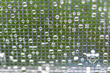 raindrops on a fine window mesh