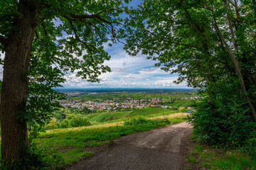 Viewing down into the valley, B&uuml;hl in Germany, Black Forest, on a sunny summer day with a blue sky and white clouds