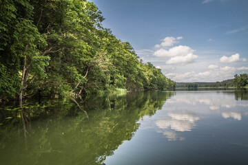 Lake, with forest around it, on a sunny day