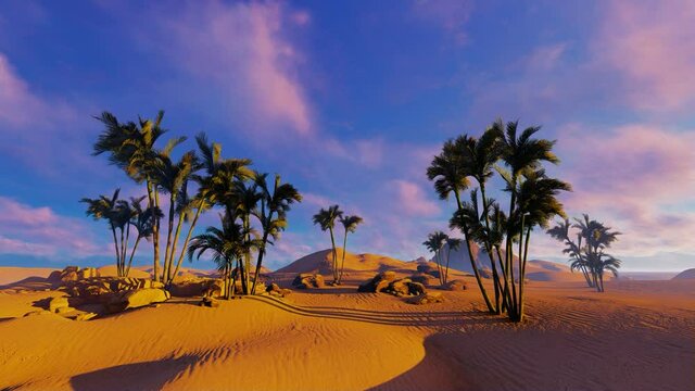 Palm trees in the desert