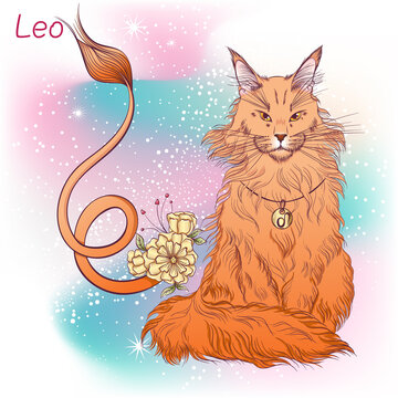 Zodiac. Vector illustration of the astrological sign of Leo as a sitting breed Maine coon cat. Astrological horoscope element. Astrology concept art