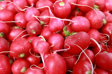 Pile of fresh radish