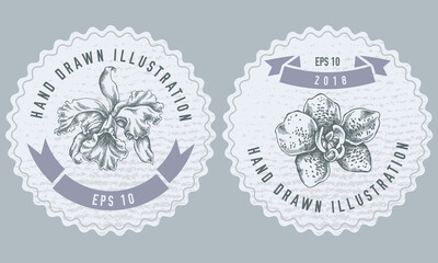 Monochrome labels design with illustration of orchid
