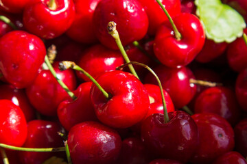 group of fresh red cherries