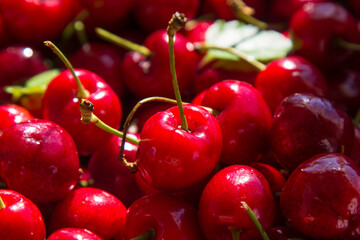 group of fresh red cherries