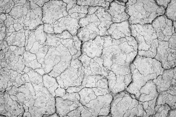 Gray Dry soil surface with cracks under high solar activity and lack of moisture
