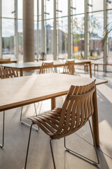 Modern wooden chair in a public library in sunny interior