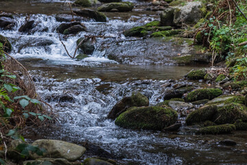Naklejka na ściany i meble brook with stages and stones while hiking