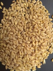 The beautiful and healthy wheat