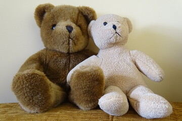 two teddy bears
