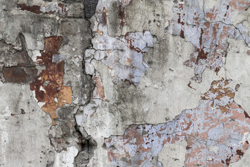 the background is a wall of old plaster