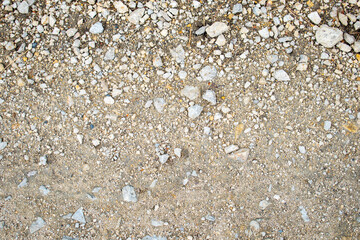 Light pebbles on the ground / sand on the path / way / road in the forest 