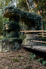 Obraz premium Suspension bridge with bamboo railing in a green summer park