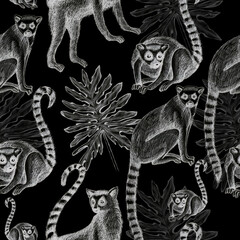 lemurs pattern drawing silhouette tropical animals isolate object black background primacy