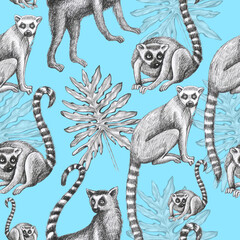 lemurs pattern drawing silhouette tropical animals isolate object blue background primacy