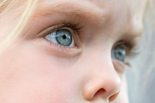 Closeup shot of the blue eyes of a beautiful blond child