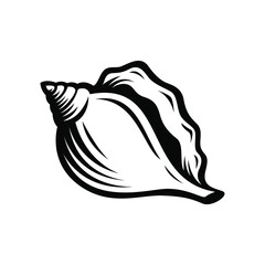 hermit crabs shell, sketch style vector illustration isolated on white background.