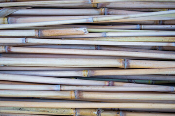 Pile of pastel soft bamboo branches. Bamboo background / wallpaper / texture / pattern 