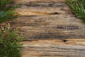 ordinary old wooden boards with twigs of pine needles (Christmas tree), background for text, simple motif