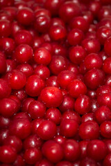 ed berry cranberries lingonberries background