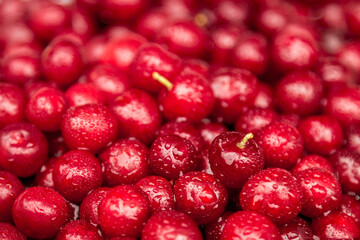 ed berry cranberries lingonberries background