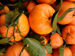 tangerines with leaves in the market, uae .