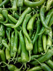 green hot chili peppers displayed in the market ,uae.