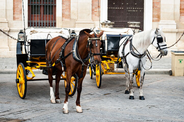 Fototapeta na wymiar It's Horse carriage in the Old Town of Seville. Historic centre is the UNESCO world heritage.